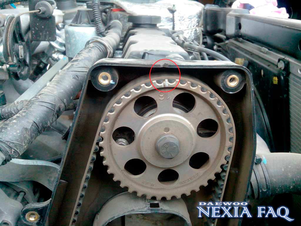 Замена ремня ГРМ на 8-ми клапанной нексии (nexia)